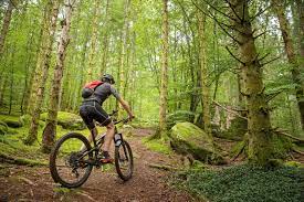 VTT